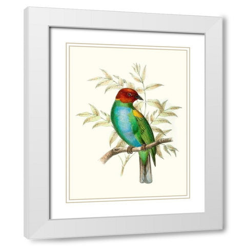 On Perch IV White Modern Wood Framed Art Print with Double Matting by Unknown