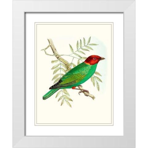 On Perch V White Modern Wood Framed Art Print with Double Matting by Unknown