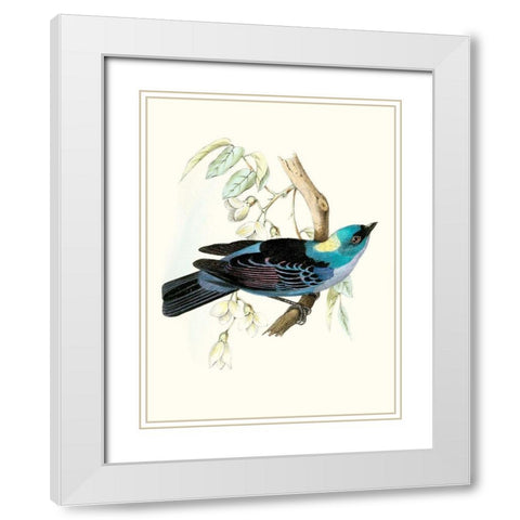 On Perch VII White Modern Wood Framed Art Print with Double Matting by Unknown