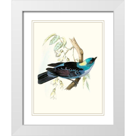On Perch VII White Modern Wood Framed Art Print with Double Matting by Unknown