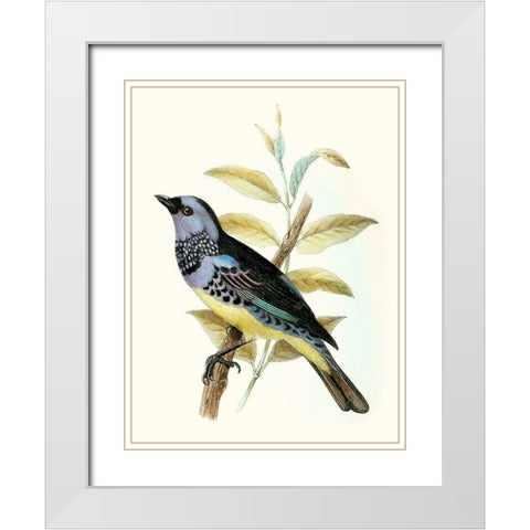 On Perch VIII White Modern Wood Framed Art Print with Double Matting by Unknown
