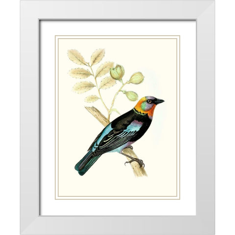 On Perch IX White Modern Wood Framed Art Print with Double Matting by Unknown