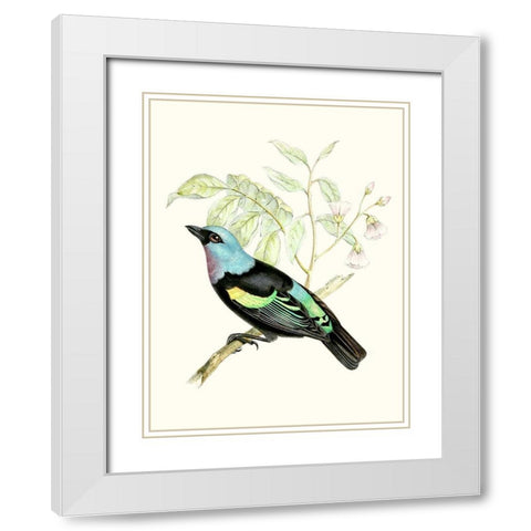 On Perch X White Modern Wood Framed Art Print with Double Matting by Unknown