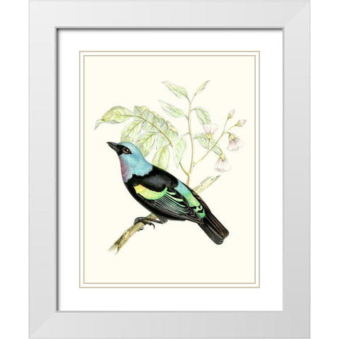 On Perch X White Modern Wood Framed Art Print with Double Matting by Unknown
