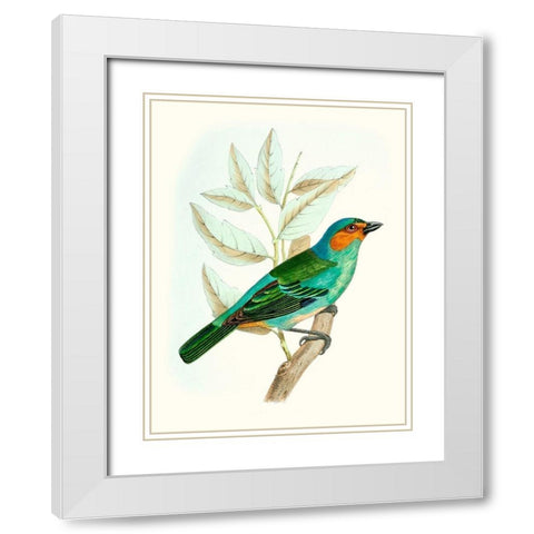 On Perch XI White Modern Wood Framed Art Print with Double Matting by Unknown