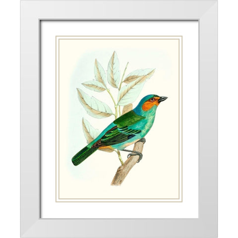 On Perch XI White Modern Wood Framed Art Print with Double Matting by Unknown