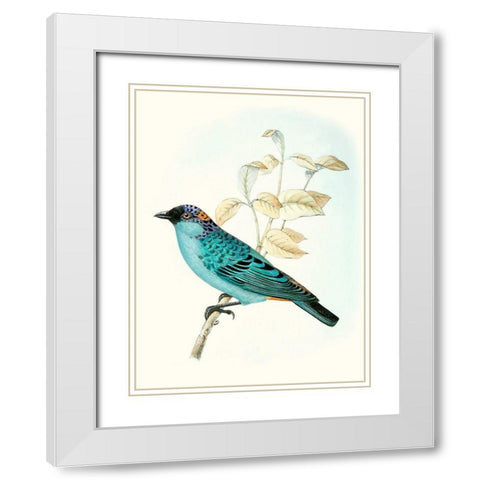 On Perch XII White Modern Wood Framed Art Print with Double Matting by Unknown