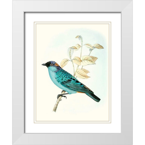 On Perch XII White Modern Wood Framed Art Print with Double Matting by Unknown