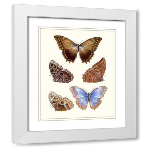 Violet Butterflies I White Modern Wood Framed Art Print with Double Matting by Unknown