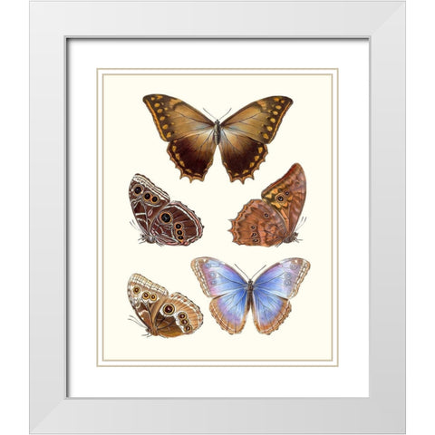 Violet Butterflies I White Modern Wood Framed Art Print with Double Matting by Unknown