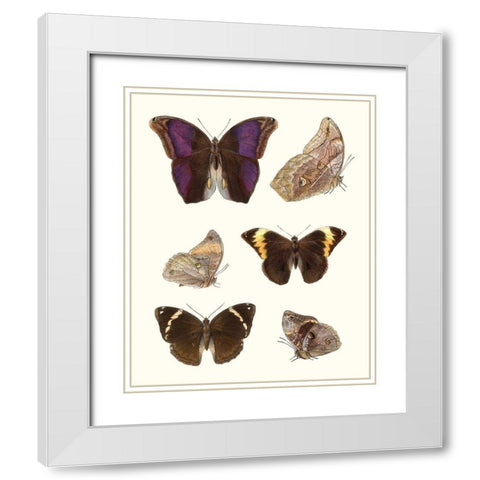 Violet Butterflies II White Modern Wood Framed Art Print with Double Matting by Unknown
