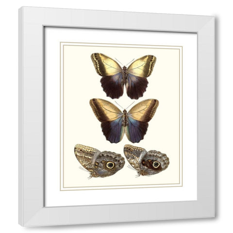 Violet Butterflies III White Modern Wood Framed Art Print with Double Matting by Unknown