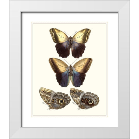Violet Butterflies III White Modern Wood Framed Art Print with Double Matting by Unknown