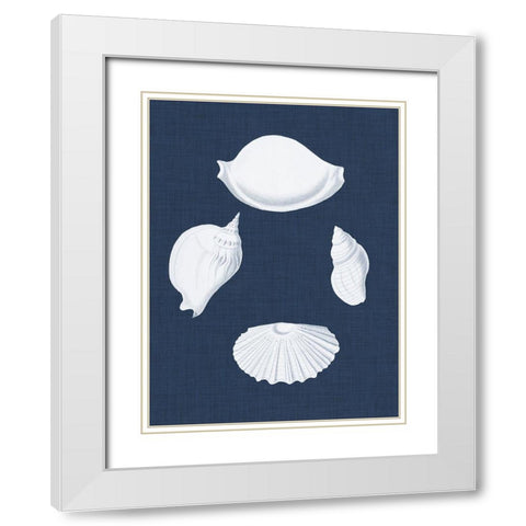 Coquillages Blancs I White Modern Wood Framed Art Print with Double Matting by Vision Studio