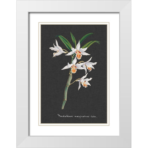 Orchid on Slate IV White Modern Wood Framed Art Print with Double Matting by Vision Studio