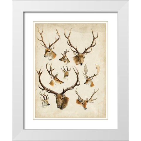 Western Animal Species II White Modern Wood Framed Art Print with Double Matting by Unknown