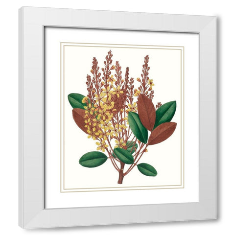 Fall Foliage II White Modern Wood Framed Art Print with Double Matting by Unknown