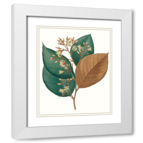 Fall Foliage V White Modern Wood Framed Art Print with Double Matting by Unknown