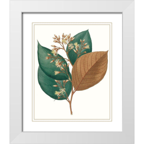 Fall Foliage V White Modern Wood Framed Art Print with Double Matting by Unknown