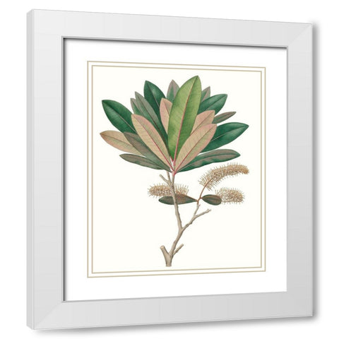 Fall Foliage VI White Modern Wood Framed Art Print with Double Matting by Unknown