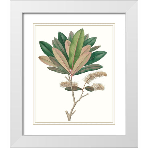 Fall Foliage VI White Modern Wood Framed Art Print with Double Matting by Unknown