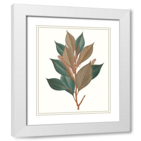 Fall Foliage VII White Modern Wood Framed Art Print with Double Matting by Unknown