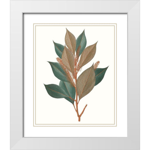 Fall Foliage VII White Modern Wood Framed Art Print with Double Matting by Unknown