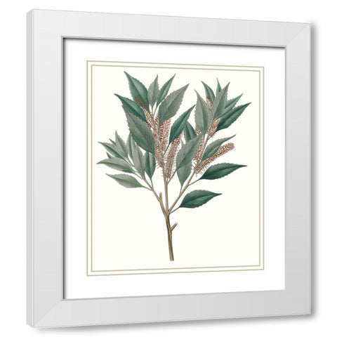 Fall Foliage VIII White Modern Wood Framed Art Print with Double Matting by Unknown