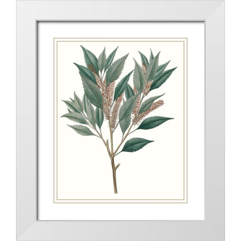 Fall Foliage VIII White Modern Wood Framed Art Print with Double Matting by Unknown