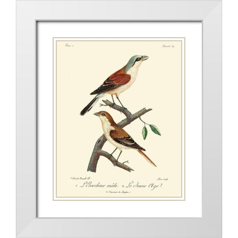 Vintage French Birds I White Modern Wood Framed Art Print with Double Matting by de Langlois