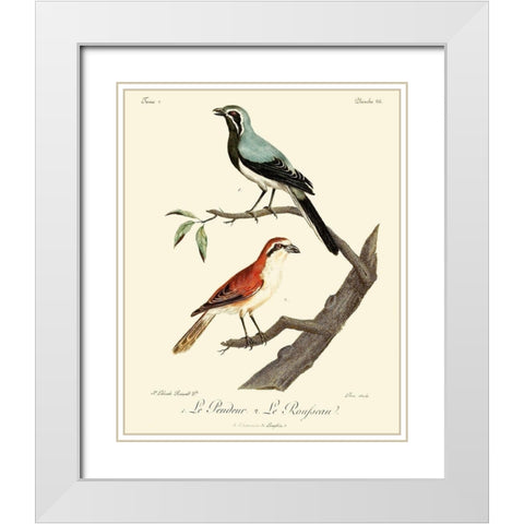 Vintage French Birds II White Modern Wood Framed Art Print with Double Matting by de Langlois