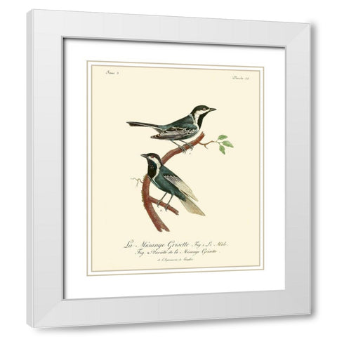 Vintage French Birds III White Modern Wood Framed Art Print with Double Matting by de Langlois