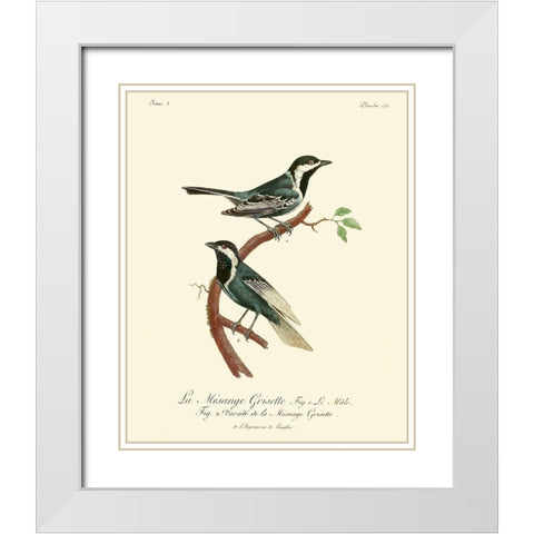 Vintage French Birds III White Modern Wood Framed Art Print with Double Matting by de Langlois