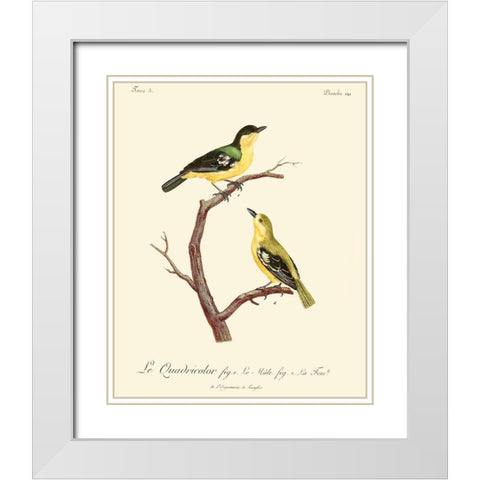 Vintage French Birds V White Modern Wood Framed Art Print with Double Matting by de Langlois