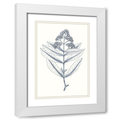 Indigo Botany Study I White Modern Wood Framed Art Print with Double Matting by Vision Studio