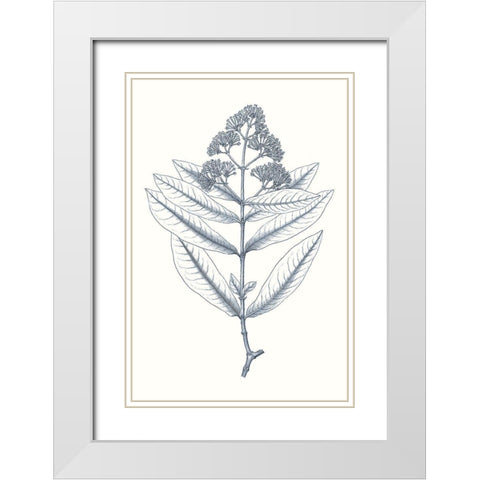 Indigo Botany Study I White Modern Wood Framed Art Print with Double Matting by Vision Studio