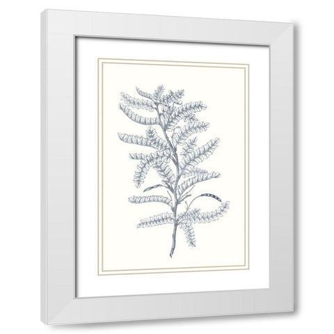 Indigo Botany Study II White Modern Wood Framed Art Print with Double Matting by Vision Studio
