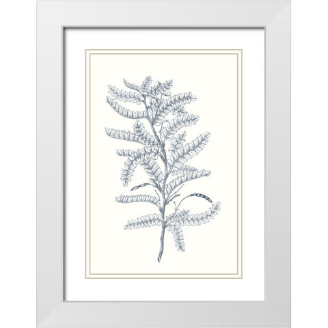 Indigo Botany Study II White Modern Wood Framed Art Print with Double Matting by Vision Studio