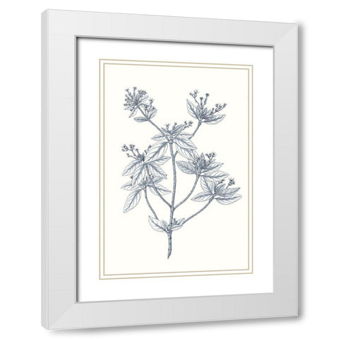 Indigo Botany Study III White Modern Wood Framed Art Print with Double Matting by Vision Studio