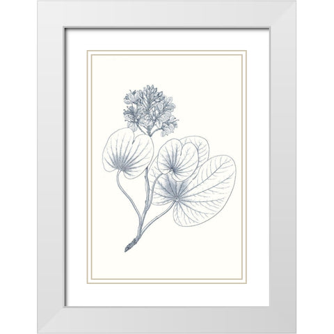 Indigo Botany Study IV White Modern Wood Framed Art Print with Double Matting by Vision Studio