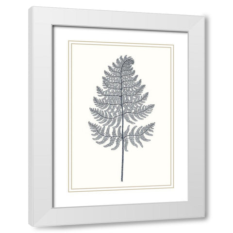 Indigo Botany Study VIII White Modern Wood Framed Art Print with Double Matting by Vision Studio