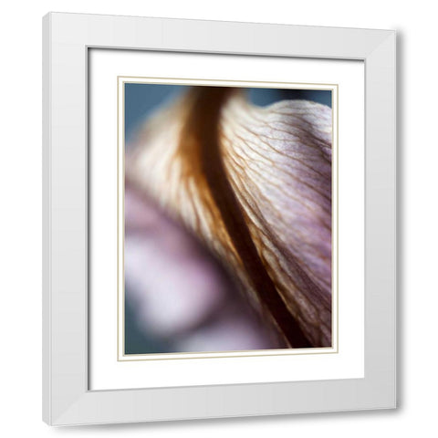 Lily Dusk II White Modern Wood Framed Art Print with Double Matting by Nourock, Jonathan