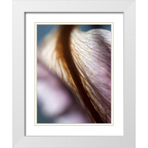 Lily Dusk II White Modern Wood Framed Art Print with Double Matting by Nourock, Jonathan