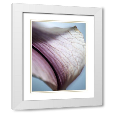 Lily Dusk III White Modern Wood Framed Art Print with Double Matting by Nourock, Jonathan