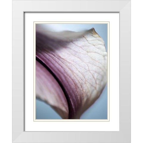 Lily Dusk III White Modern Wood Framed Art Print with Double Matting by Nourock, Jonathan