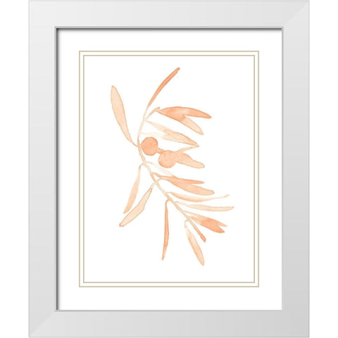 Blush Olive Branch I White Modern Wood Framed Art Print with Double Matting by Scarvey, Emma