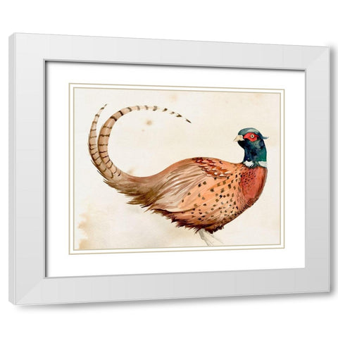 Pheasantry I White Modern Wood Framed Art Print with Double Matting by Parker, Jennifer Paxton