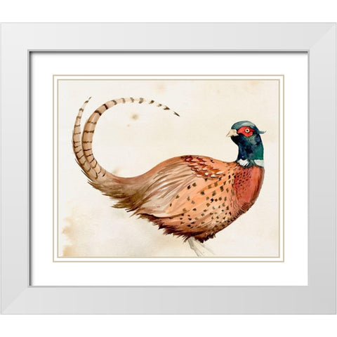 Pheasantry I White Modern Wood Framed Art Print with Double Matting by Parker, Jennifer Paxton