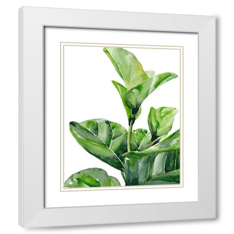 Fiddle Fig I White Modern Wood Framed Art Print with Double Matting by Parker, Jennifer Paxton