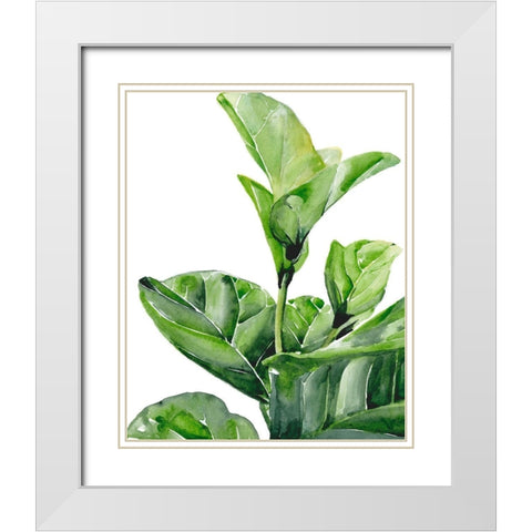 Fiddle Fig I White Modern Wood Framed Art Print with Double Matting by Parker, Jennifer Paxton